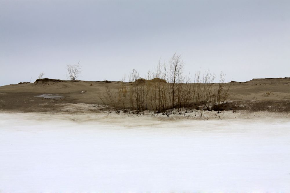 Photograph by Елена Брынько