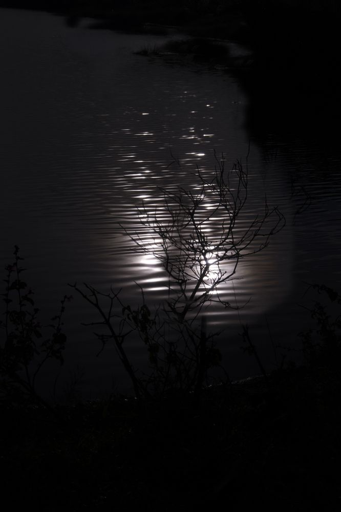 Photograph by phuong