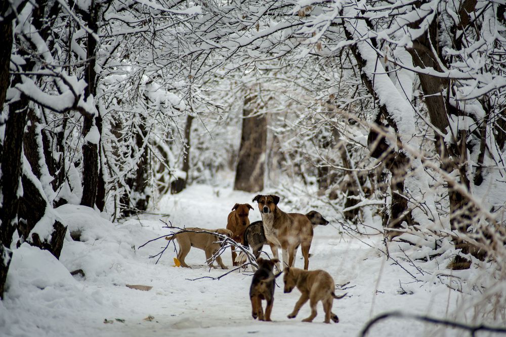 Photograph by DAMOUN POURNEMATI
