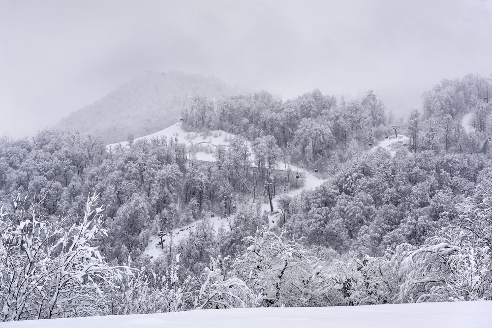 Photograph by Андрей Cоколов