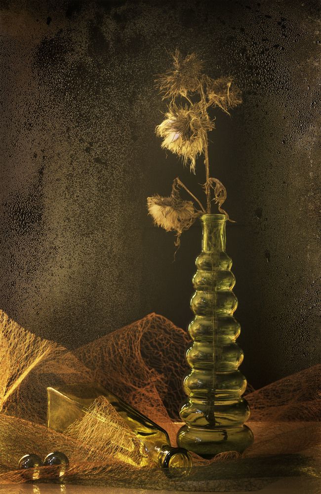 Photograph by Татьяна Слёзкина