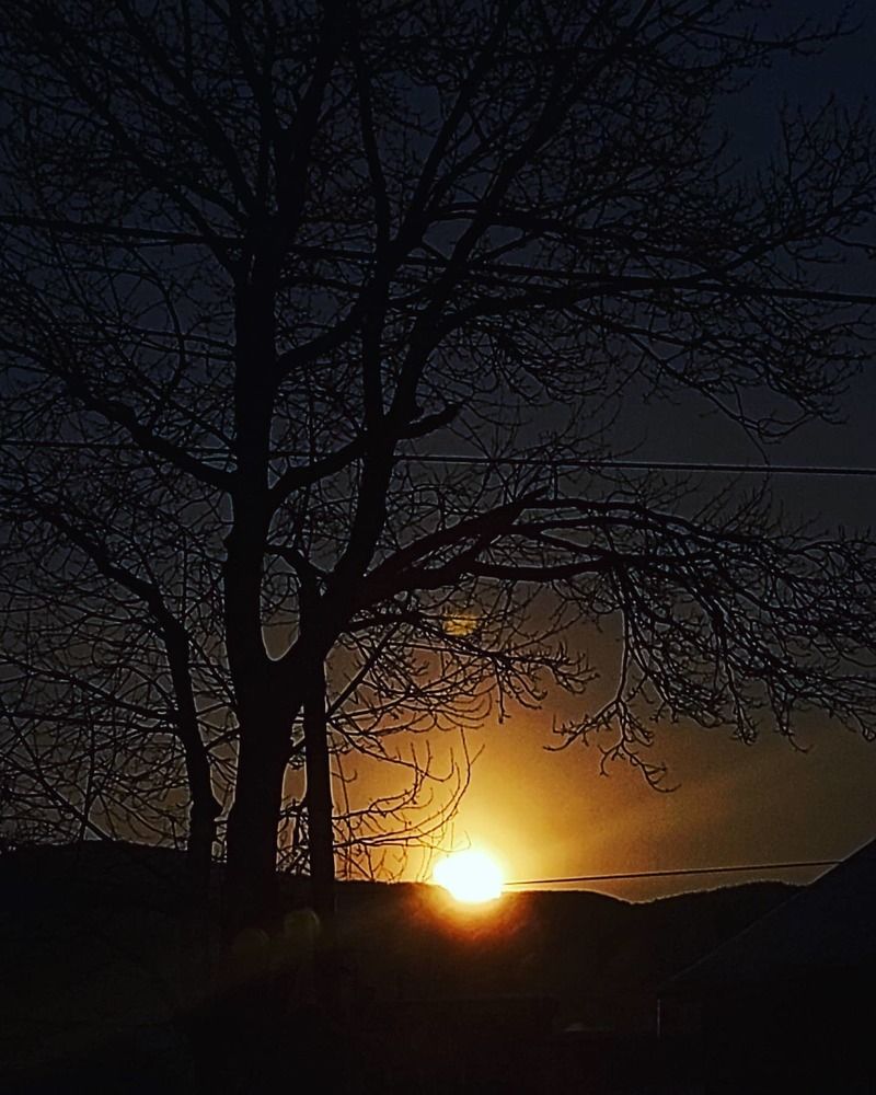 Photograph by Яна Балыкова