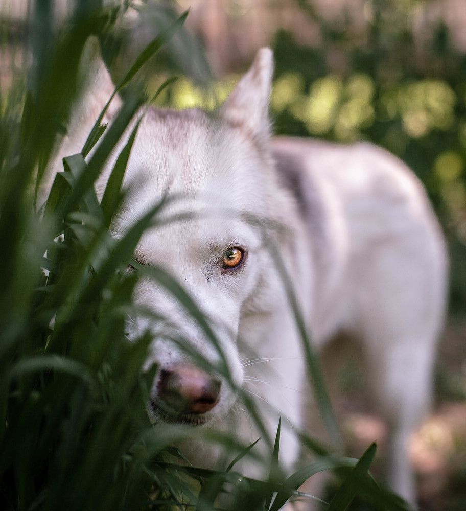 Photograph by Дарья Васильева