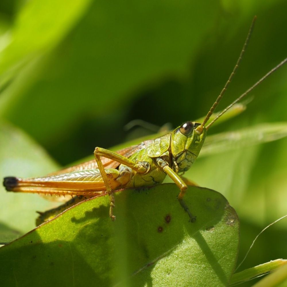 Photograph by Xeniya Kolosova