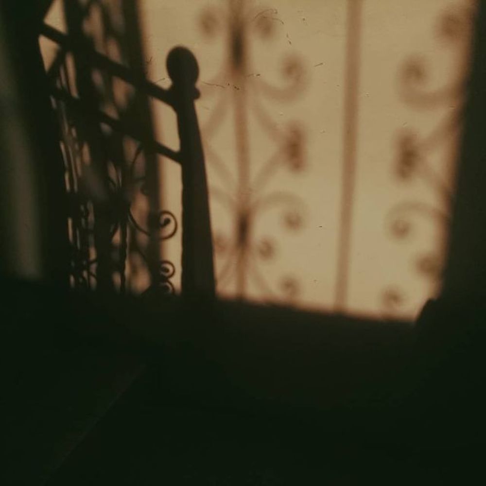 Photograph by Дарья Горицына