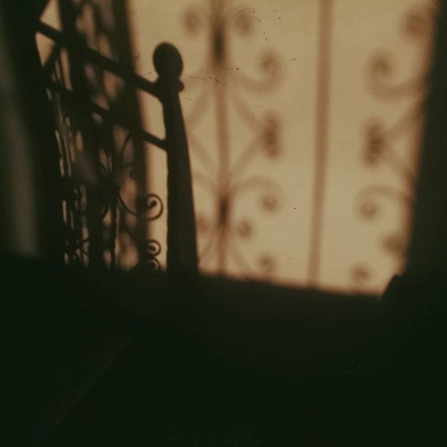 Photo #5795653