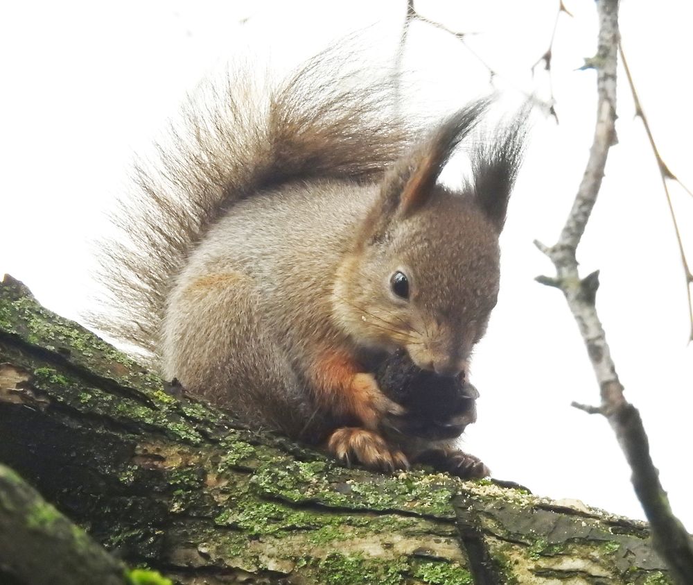 Photograph by Павел Левашов