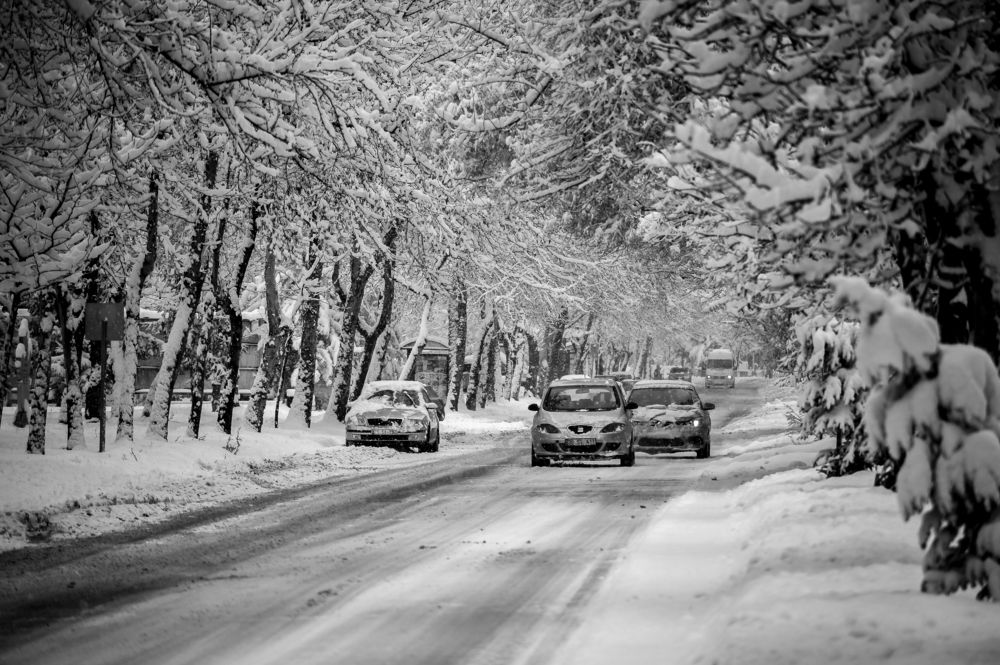 Photograph by DAMOUN POURNEMATI