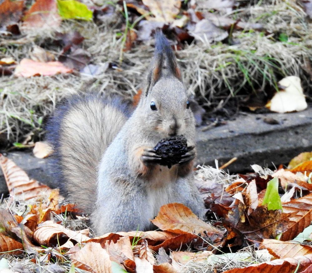 Photograph by Павел Левашов