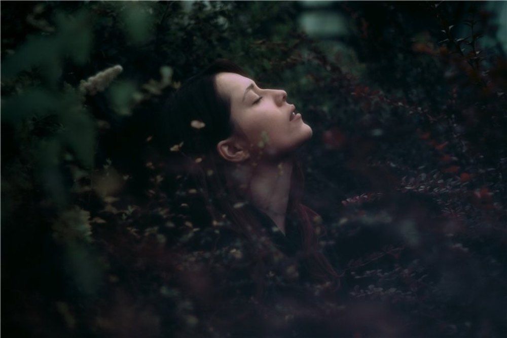 Photograph by Дарья Горицына
