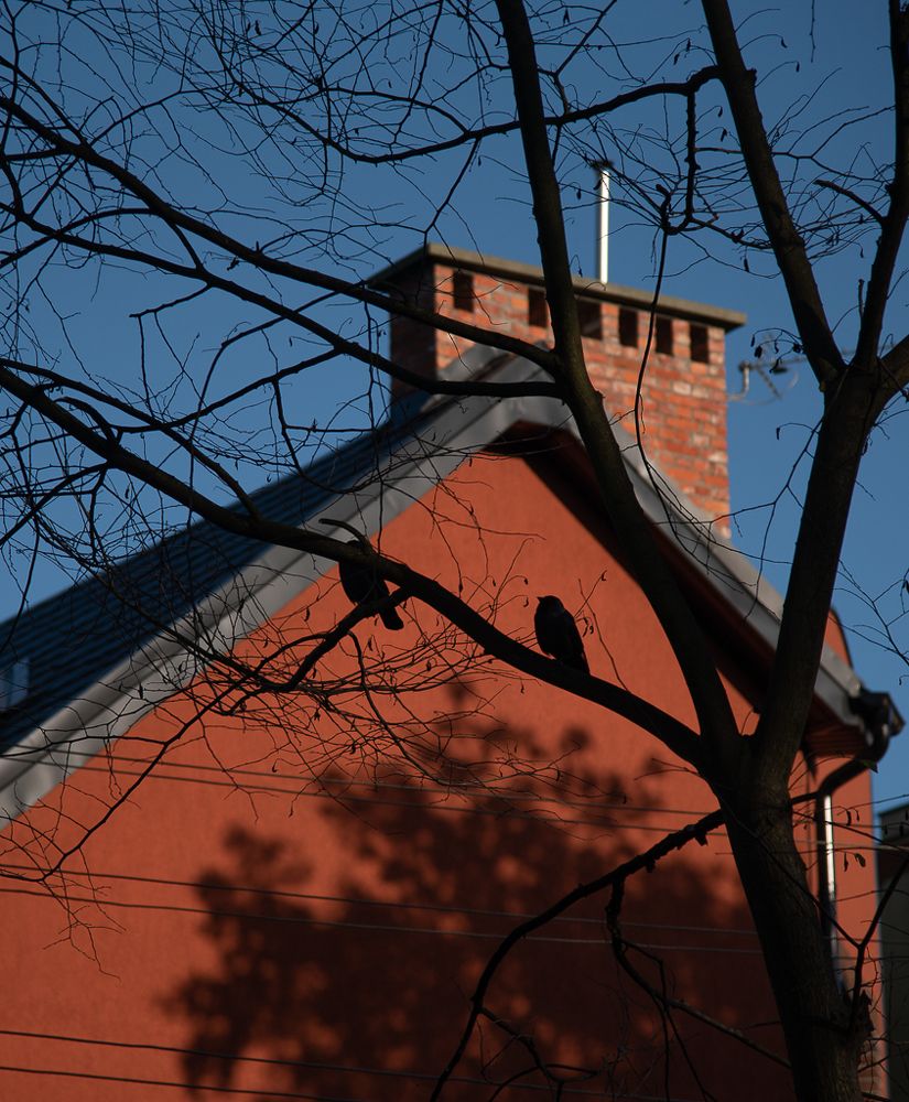 Photograph by Раббе Владимир