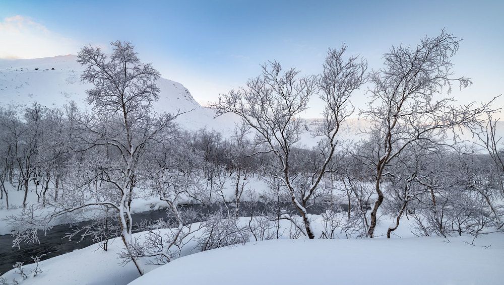 Photograph by Евгений Бушков