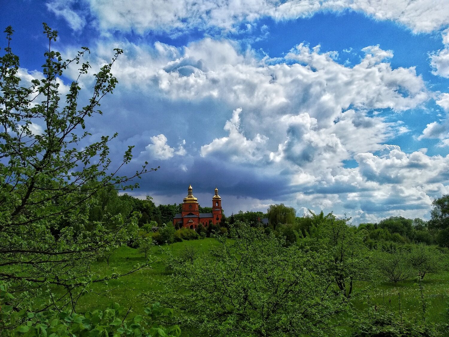 Photo #5795774