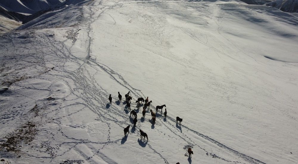 Photograph by Хасаймирза Хасаймирзаев