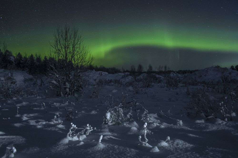 Photograph by Татьяна Борисова