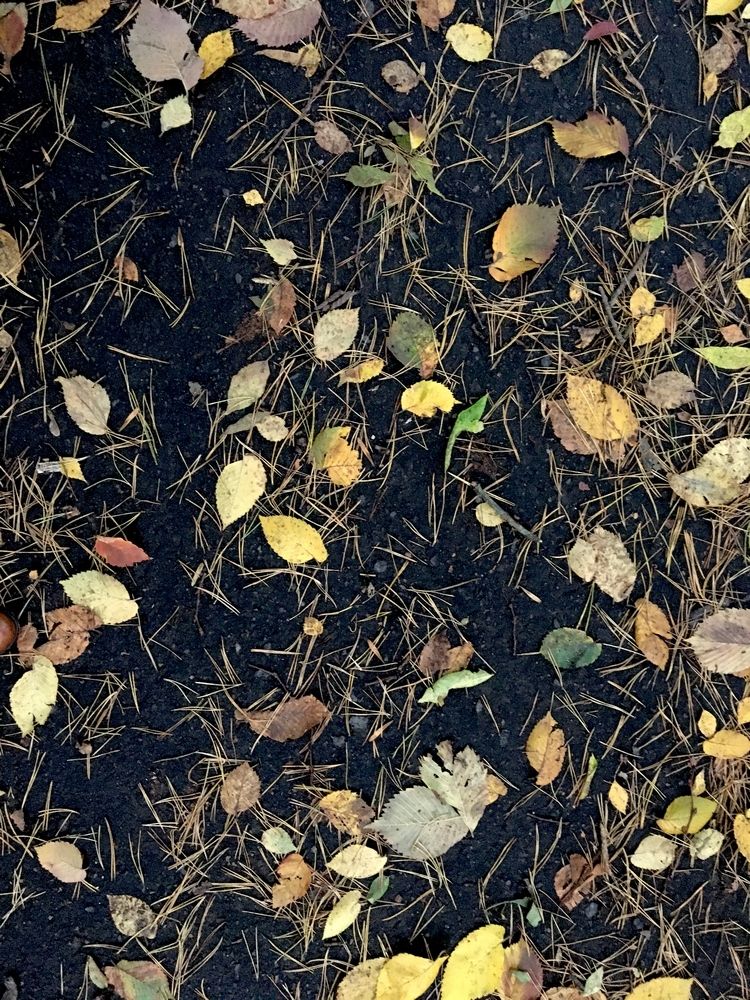 Photograph by Катерина