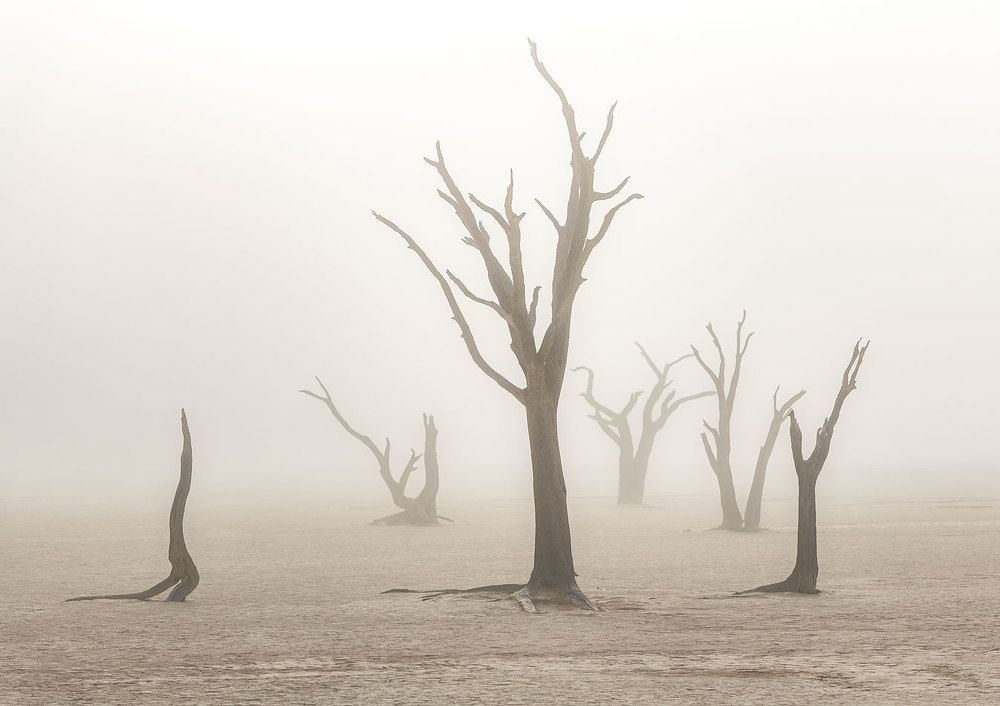 Photograph by Евгений Бушков