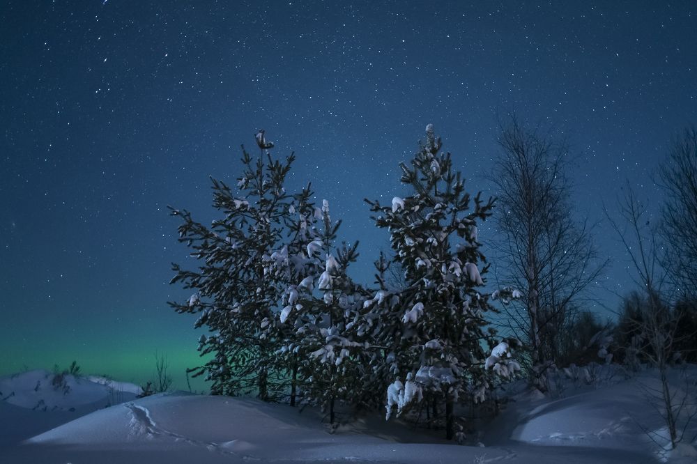 Photograph by Татьяна Борисова