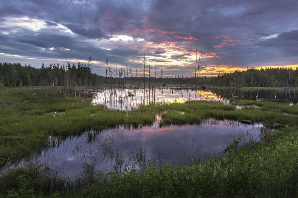 Photograph by Татьяна Борисова