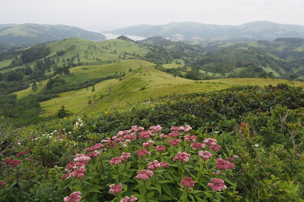 Бархатные холмы