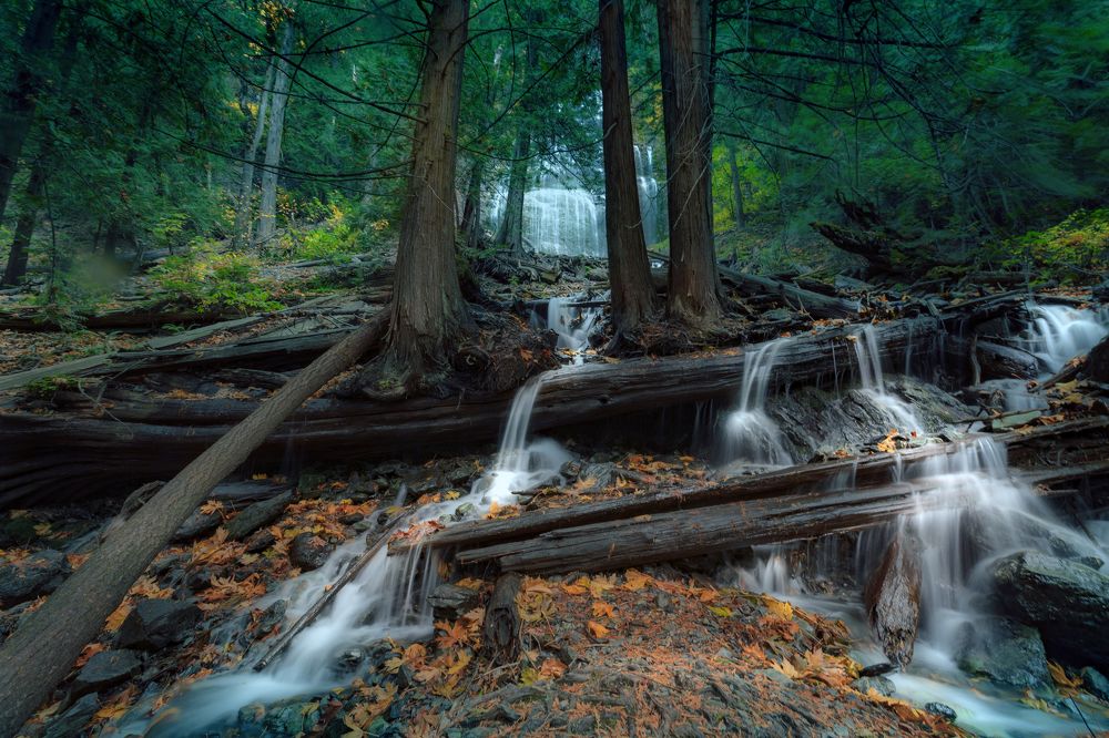 Photograph by Kashchenko Dmitry