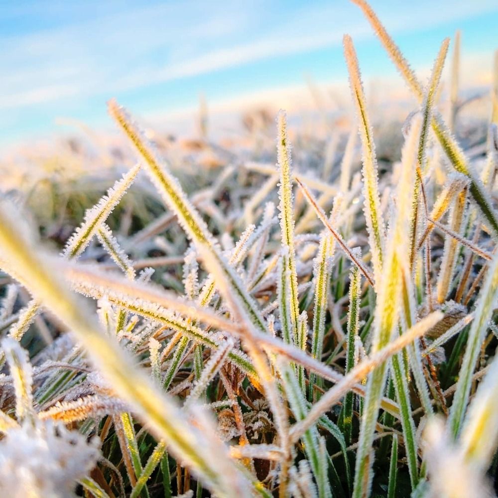 Фотография автора TARAS SHPEH