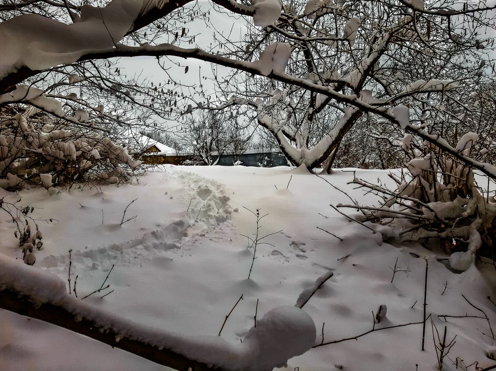 Photograph by Леонид Борисенко