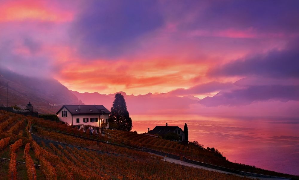 Photograph by Elena Wymann