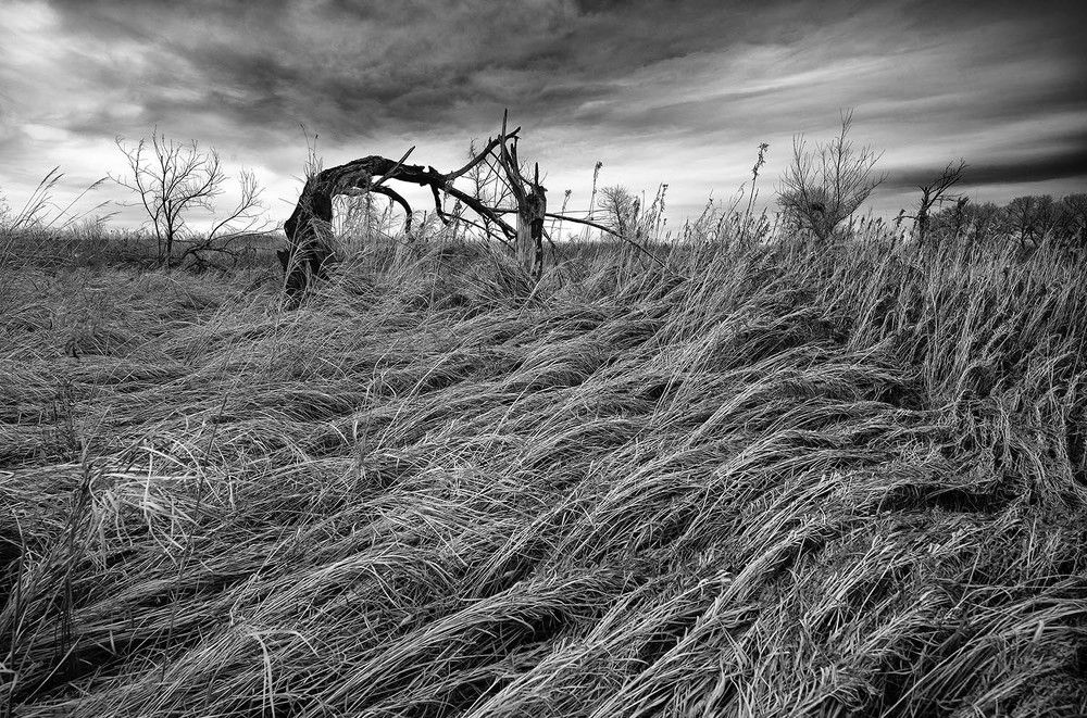 Photograph by Владимир