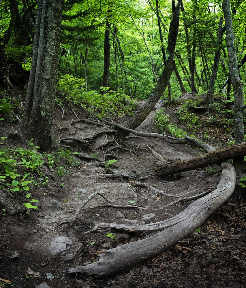 Photograph by Владимир