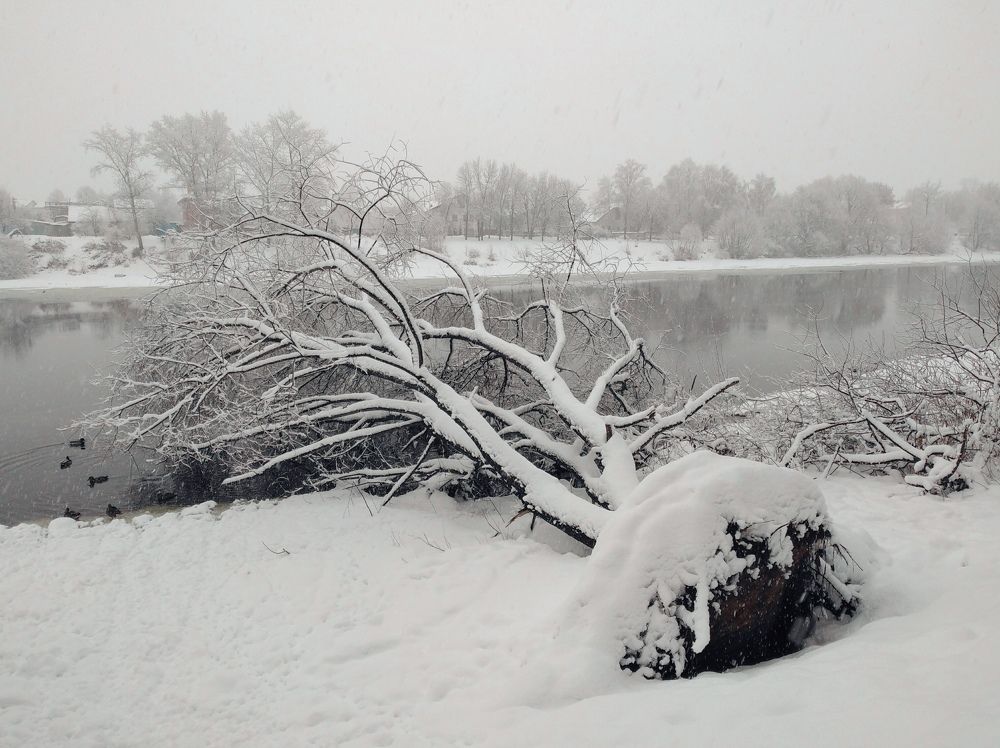 Photograph by Наталья Золотарева