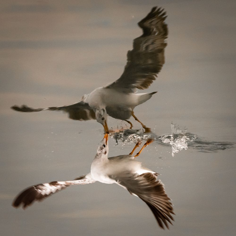 Photograph by Huynh Loc