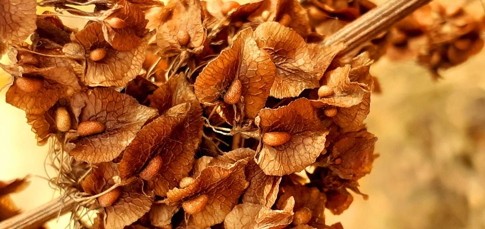 Photograph by Алсу Гиматова