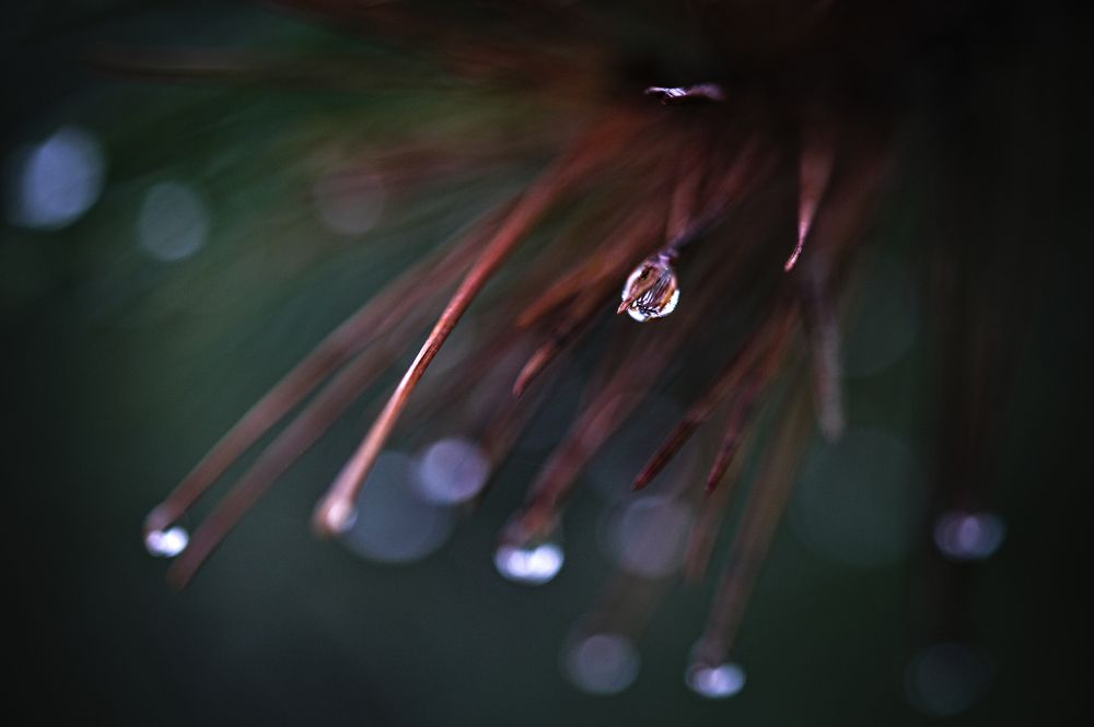 Photograph by Yaniv Abramovitz