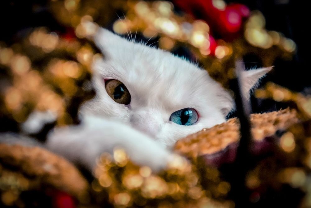 Photograph by Любовь Бусова