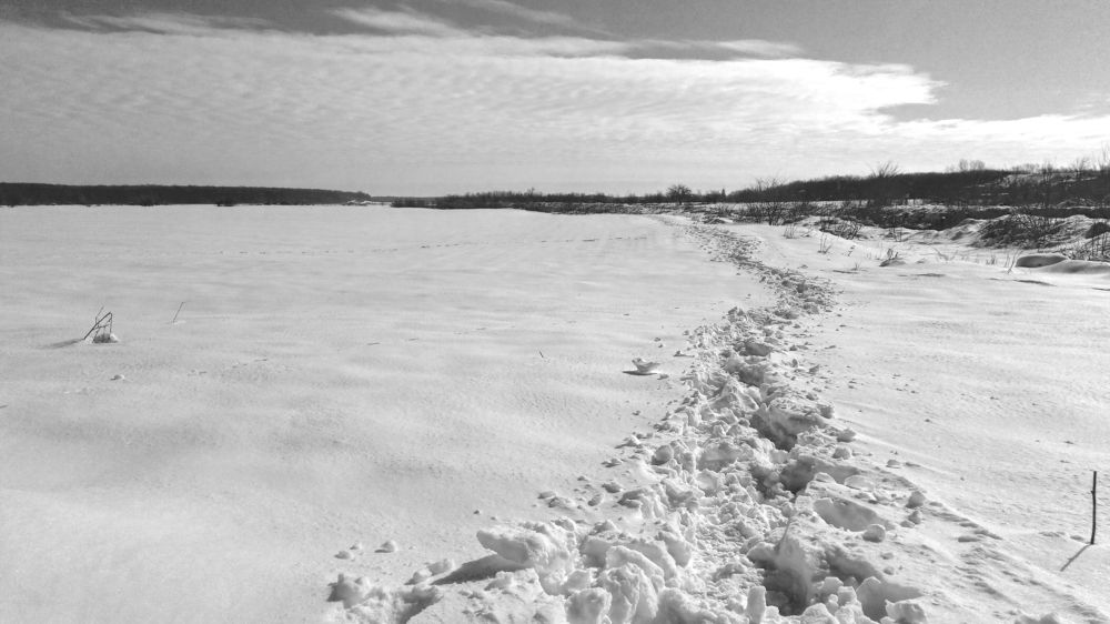 Winter Walk