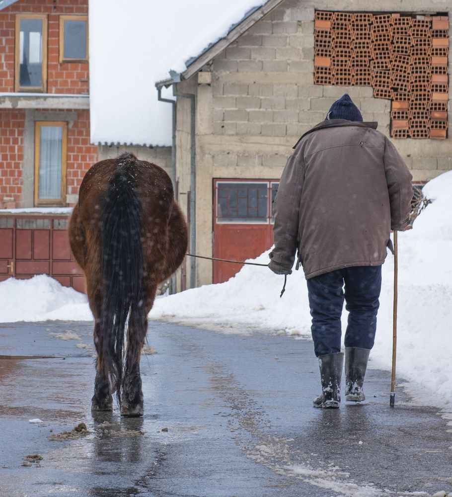 the oldman and his horse