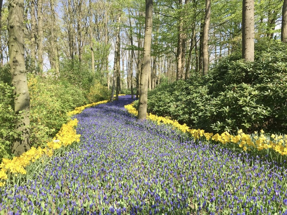 Photograph by Irina Andrienko