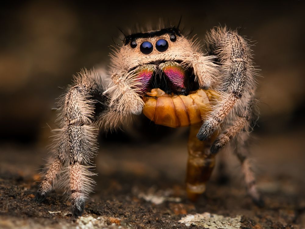 Photograph by Prana Eriyan