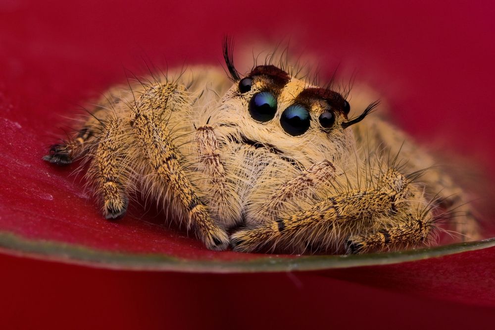 Photograph by Prana Eriyan