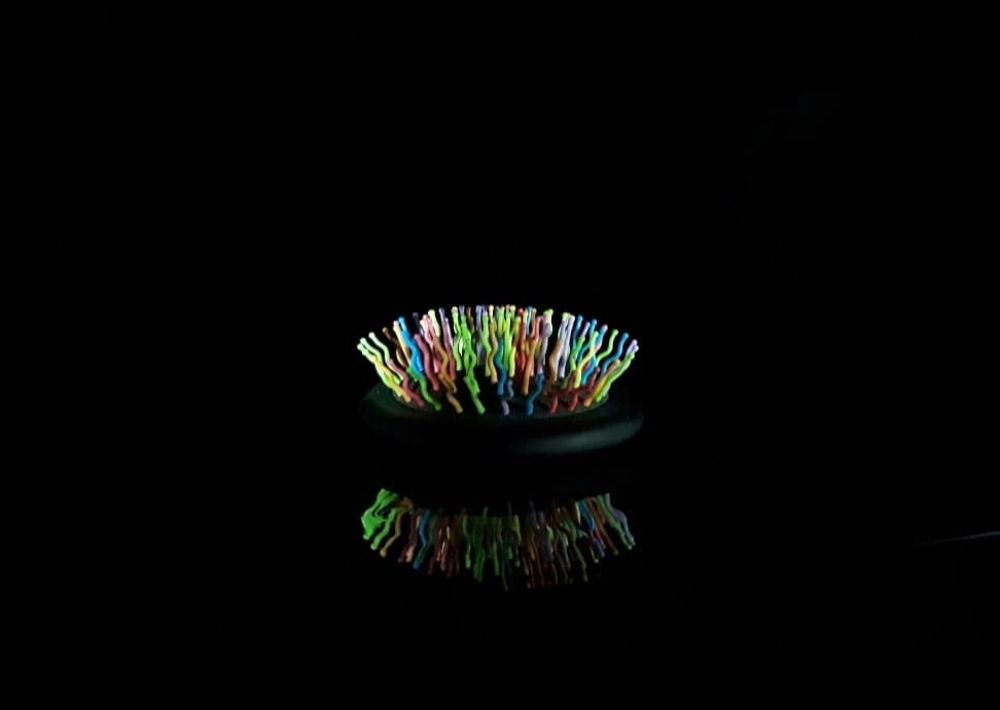 Photograph by reyhaneh zeidabadi