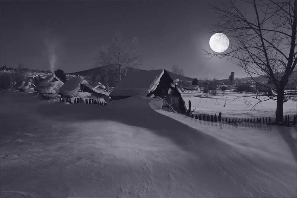 Ночная жизнь