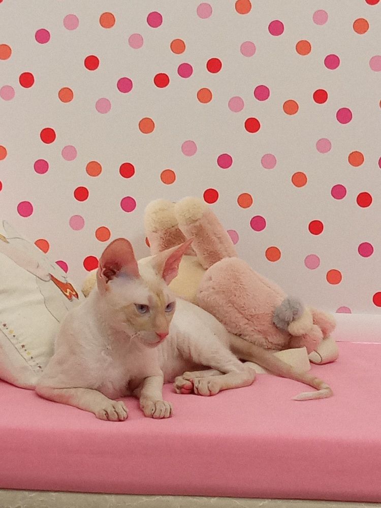 Фотография автора Людмила Зубова