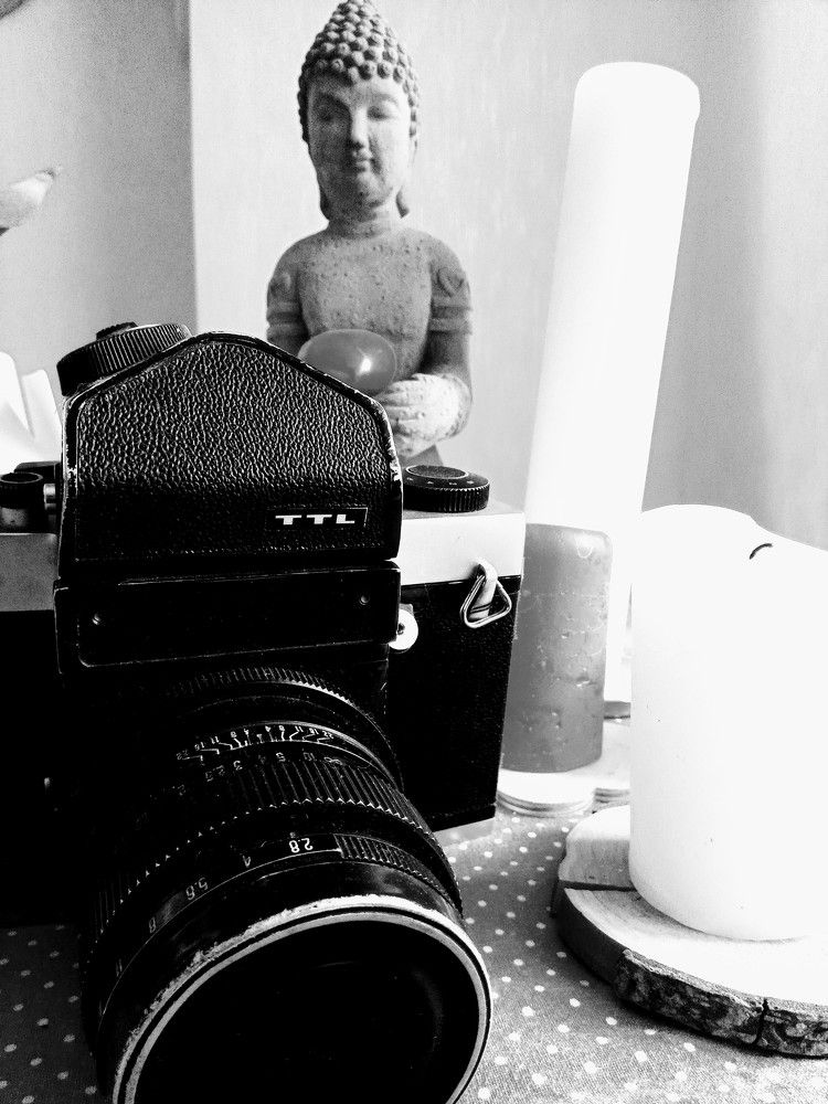 Photo #5796344