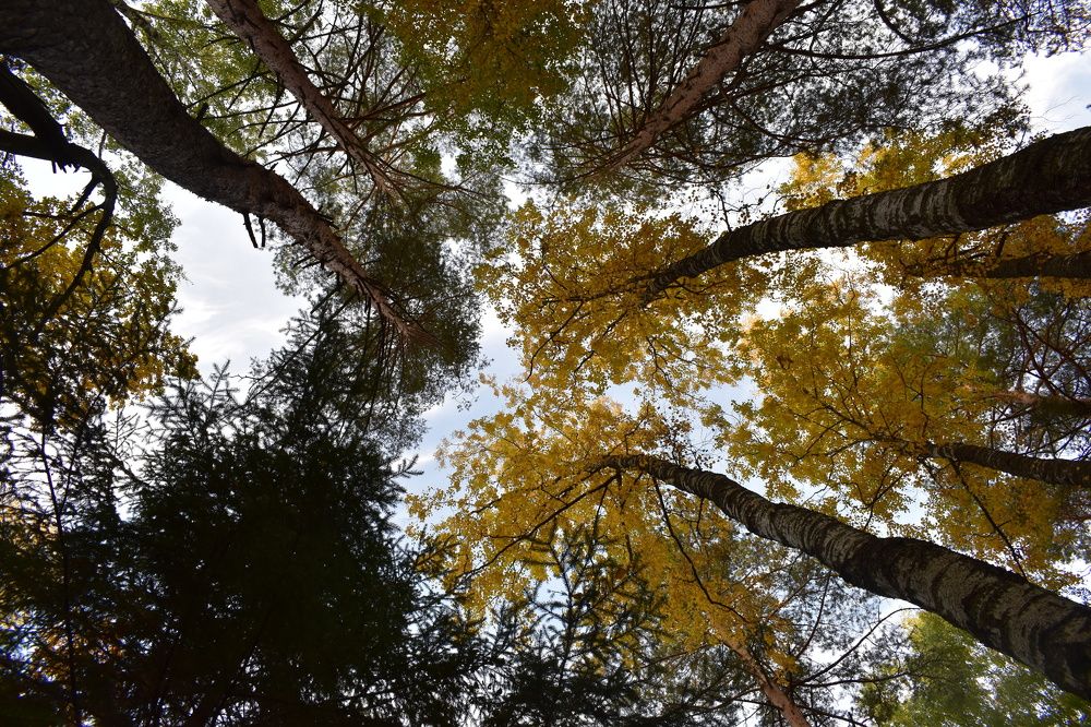 Photograph by Сергей Головин