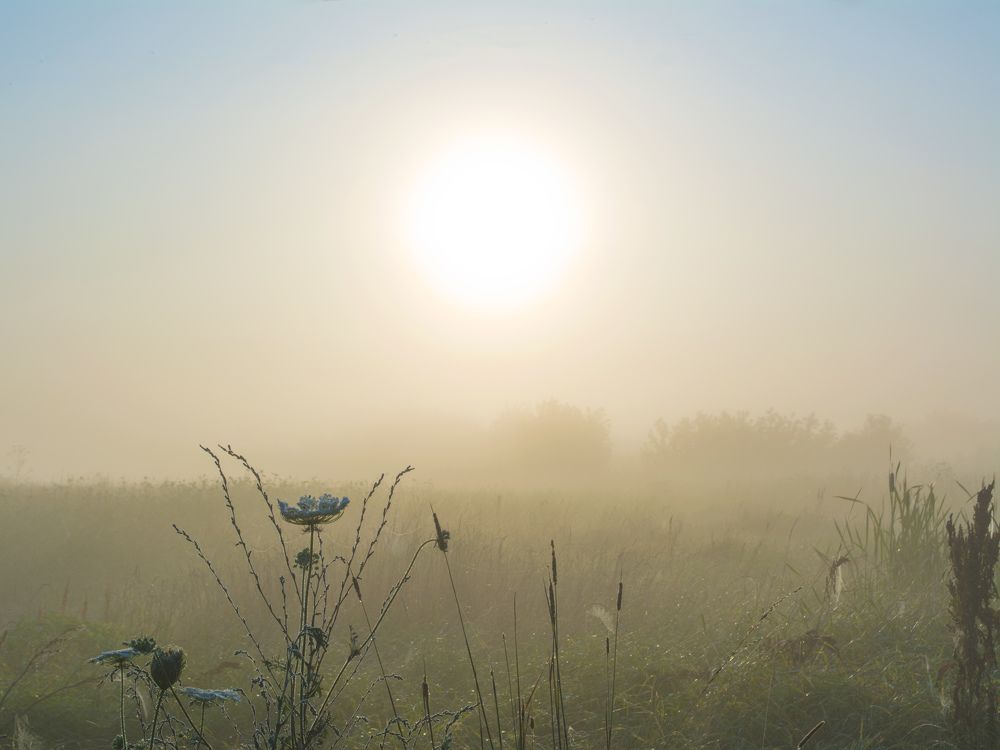 Photograph by Оксана Ильченко