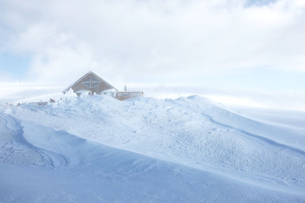 Photograph by Elena Biianu