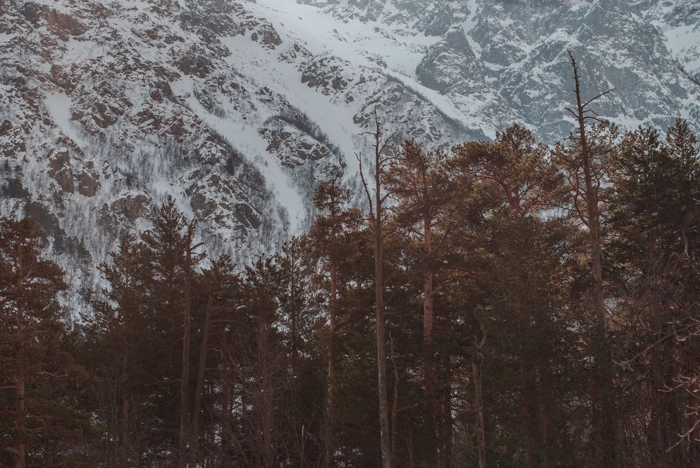 Фотография автора Сергей Фисун