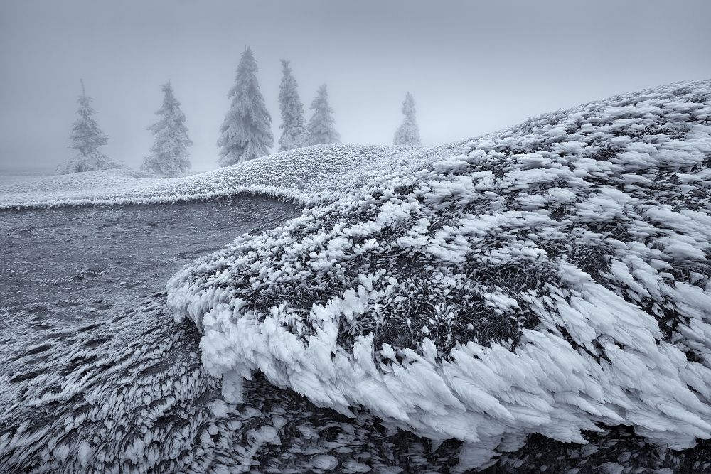 Фотография автора Daniel Rericha