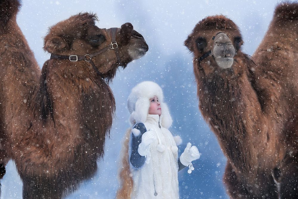 Большие и маленькие